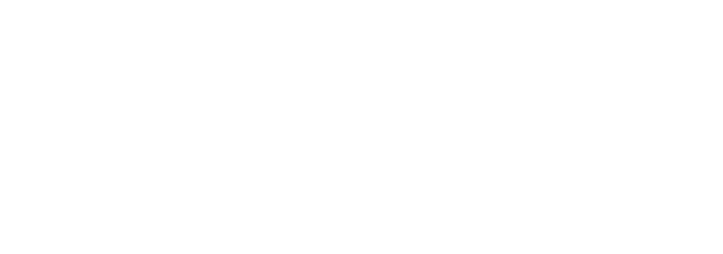 i5 Fiber logo