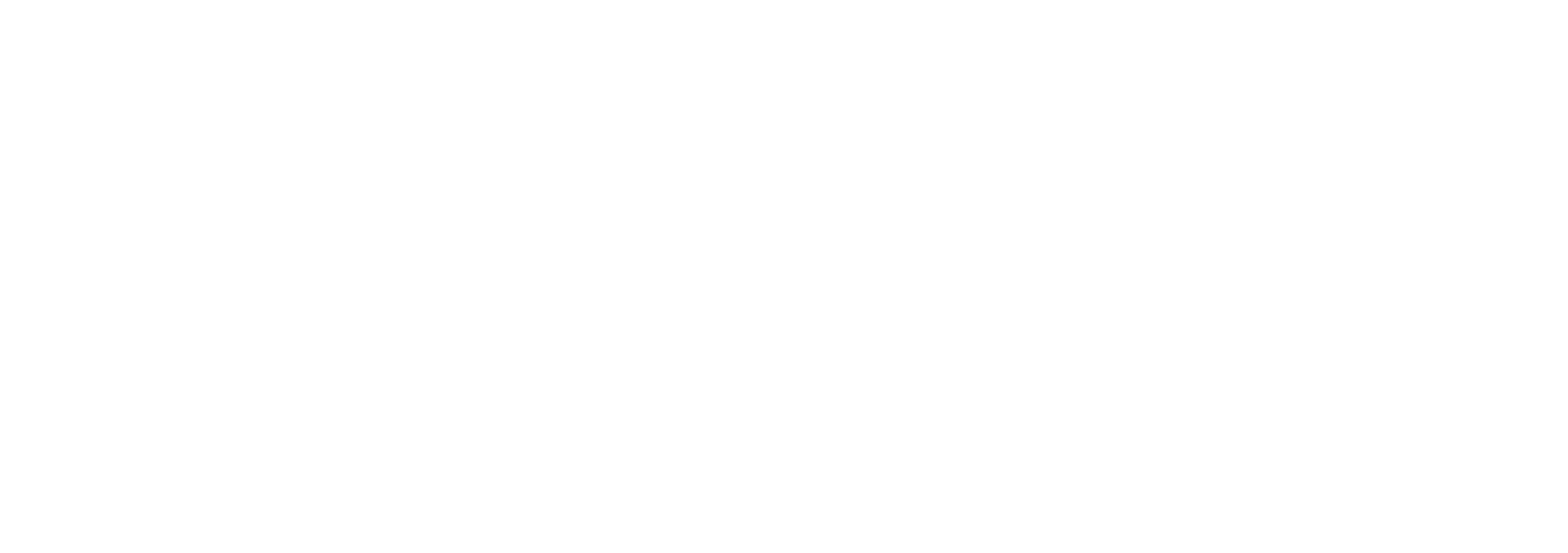 i5 Fiber